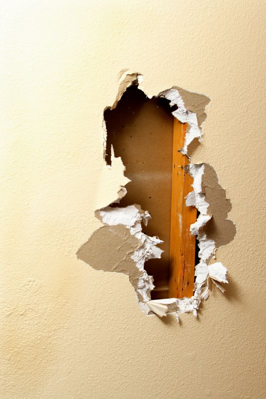 Wall Hole Repair